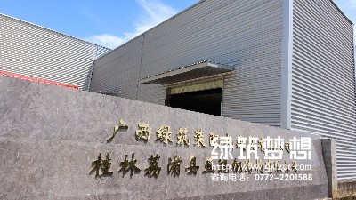 广西绿筑装配式建筑有限公司