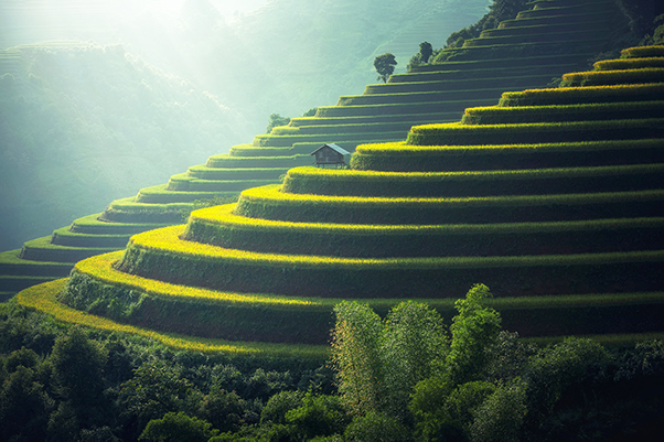 农村旅游度假景区