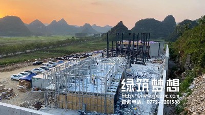 王力：推广绿色高品质钢结构住宅 助力发展“中国建造”
